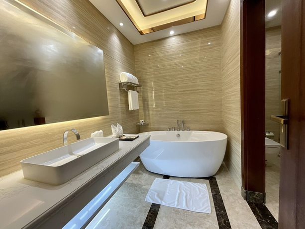 Imagen de la habitación del Hotel St Wattay Airport. Foto 10