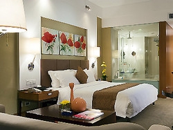 Imagen de la habitación del Hotel St.Helen Shenzhen Bahuinia. Foto 5