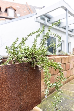 Imagen de los exteriores del Hotel Stadthotel. Foto 17