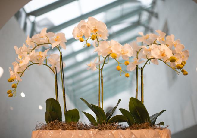 Imagen de los interiores del Hotel Stadthotel Styria. Foto 20