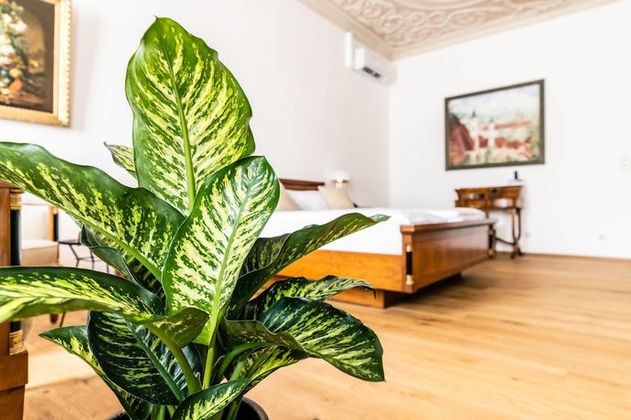 Imagen de la habitación del Hotel Stadthotel Styria. Foto 14