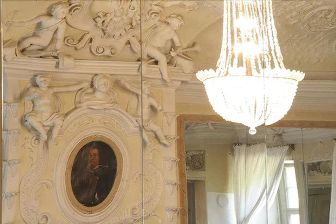 Imagen general del Hotel Stadtschloss Hecklingen. Foto 12