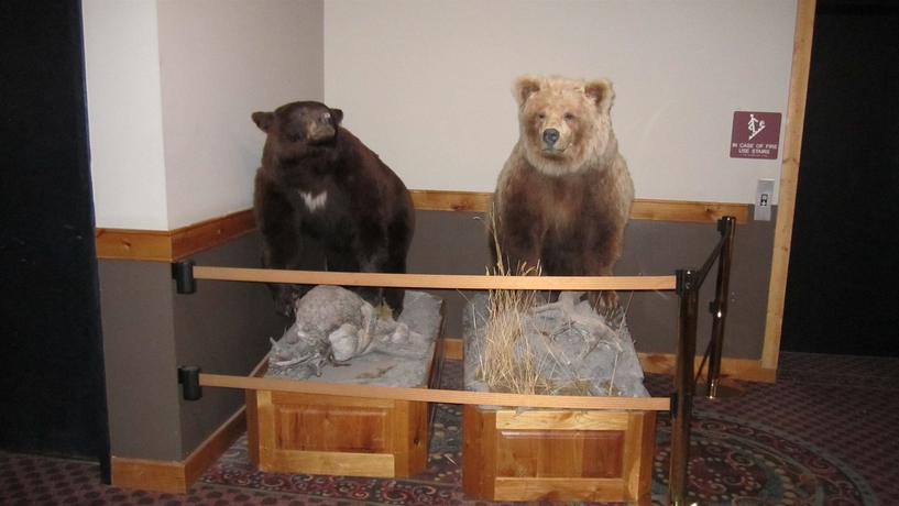 Imagen de los interiores del Hotel Stage Coach Inn, West Yellowstone. Foto 12