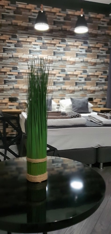Imagen de la habitación del Hotel Stalingrad. Foto 13