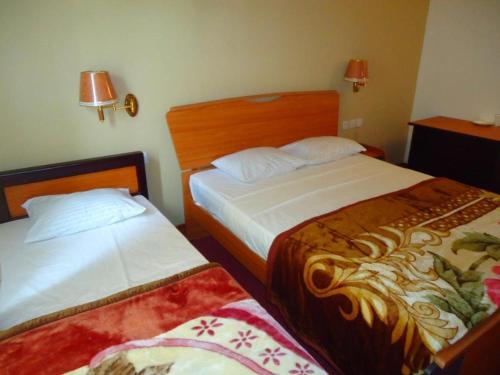 Imagen general del Hotel Stamford Star. Foto 19