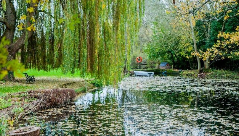 Imagen de los interiores del Hotel Stanbrook Abbey. Foto 13