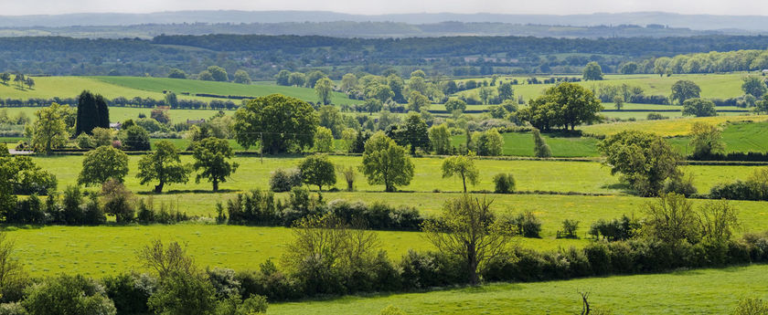 Imagen de los interiores del Hotel Stanbrook Abbey. Foto 14