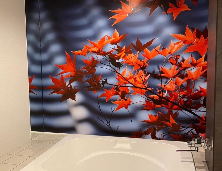 Imagen general del Hotel Stand Up (adult Only). Foto 3