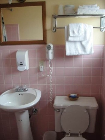 Imagen de la habitación del Hotel Standish Motel. Foto 19