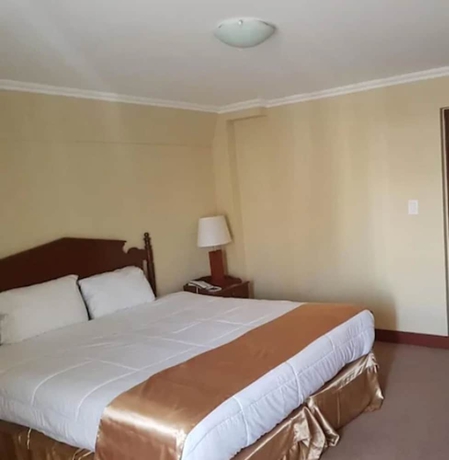 Imagen de la habitación del Hotel Stanford Santiago. Foto 15