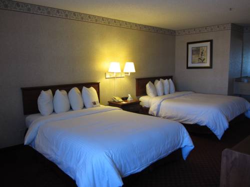 Imagen de la habitación del Hotel Stanton Inn & Suites. Foto 9