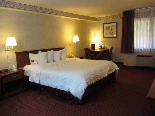 Imagen de la habitación del Hotel Stanton Inn & Suites. Foto 11