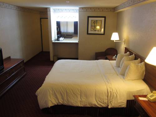 Imagen de la habitación del Hotel Stanton Inn & Suites. Foto 13
