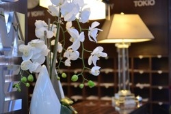 Imagen de los interiores del Hotel Star Am Dom. Foto 6