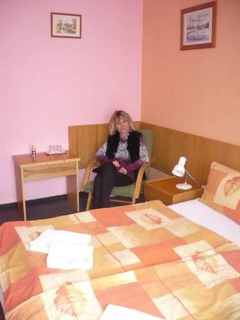 Imagen de la habitación del Hotel Star Hotels Benecko. Foto 9