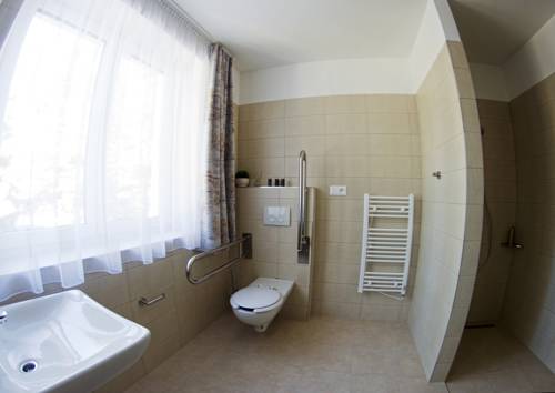 Imagen de la habitación del Hotel Star Lipno. Foto 5