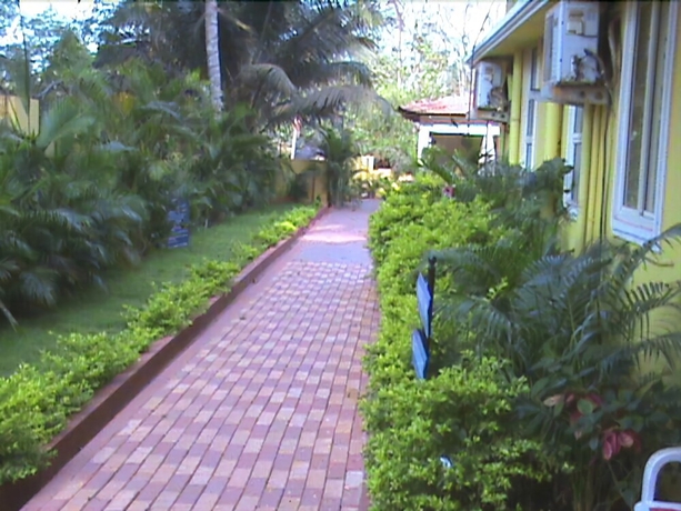 Imagen de los exteriores del Hotel Star Of The Sea Resort. Foto 9
