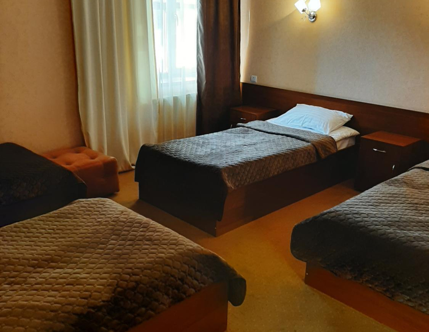 Imagen general del Hotel Stara Vesha. Foto 3