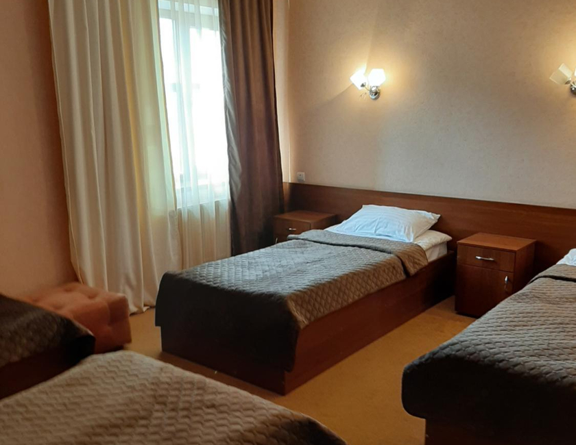 Imagen general del Hotel Stara Vesha. Foto 9