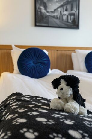 Imagen de la habitación del Hotel Starby Spa, l and Konferens. Foto 31