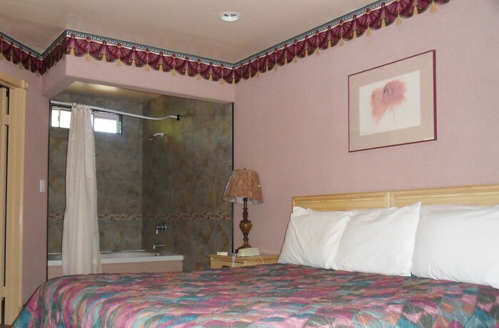 Imagen general del Hotel Stardust Inn. Foto 12