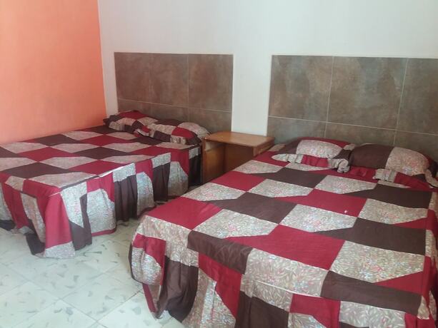 Imagen general del Hotel Stardust inn, Tinum. Foto 17