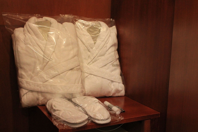 Imagen de la habitación del Hotel Starhotels Vespucci. Foto 11