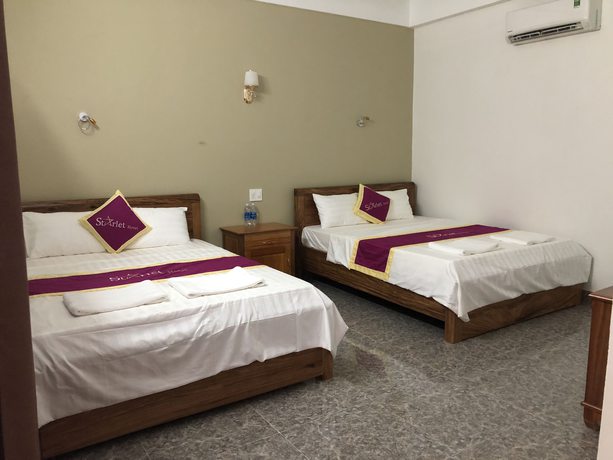 Imagen de la habitación del Hotel Starlet Hotel. Foto 17