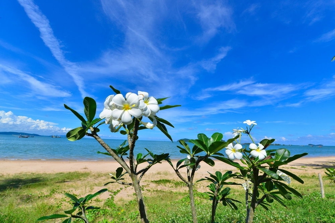 Imagen de los exteriores del Hotel Starlight Beach Resort Chumphon. Foto 4