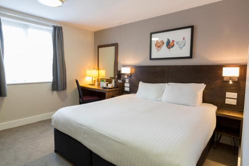 Imagen general del Hotel Starling Cloud. Foto 17