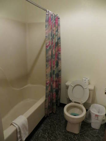 Imagen de la habitación del Hotel Starlite Budget Inn. Foto 6