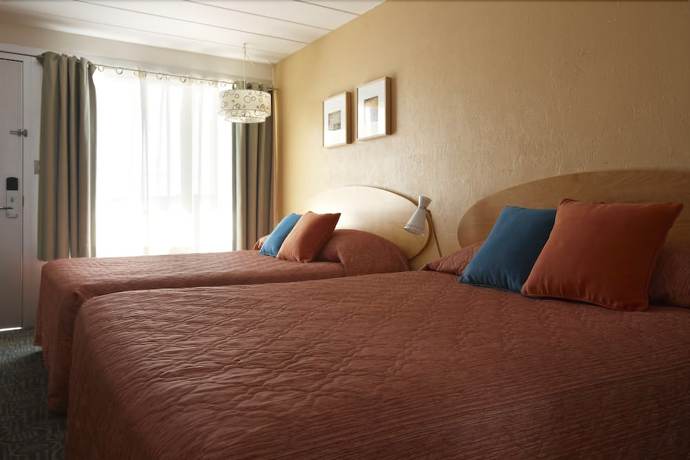 Imagen de la habitación del Hotel Starlux. Foto 17