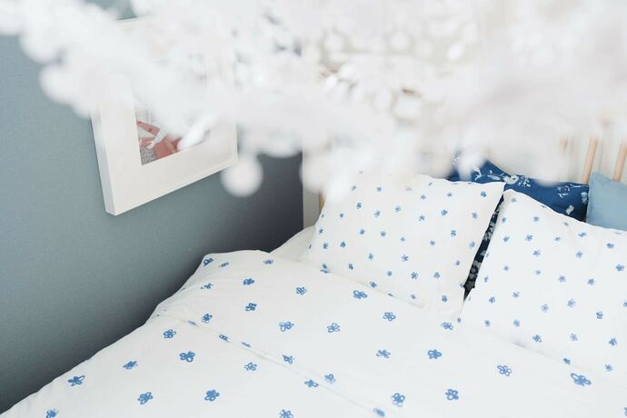 Imagen general del Hotel Starry Night Dreams of Stars House. Foto 6