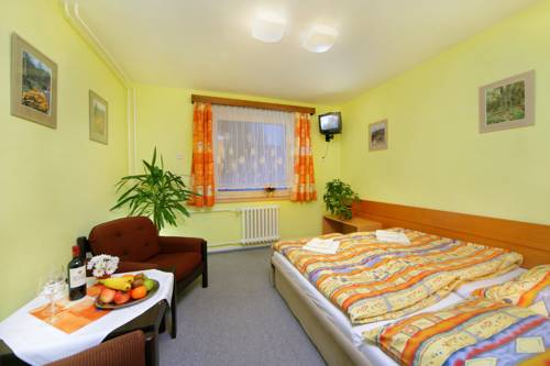 Imagen de la habitación del Hotel Stary Mlyn. Foto 3