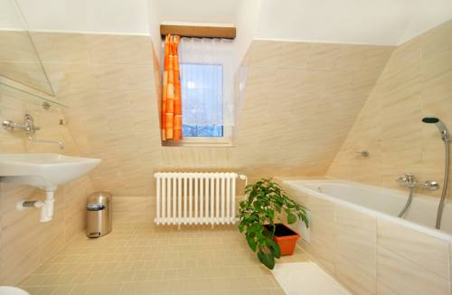 Imagen de la habitación del Hotel Stary Mlyn. Foto 6