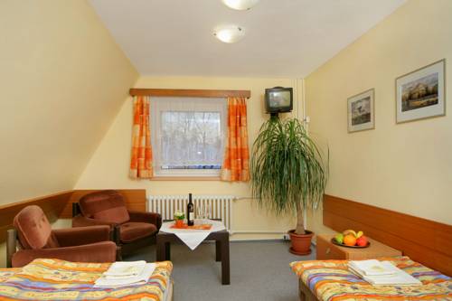 Imagen de la habitación del Hotel Stary Mlyn. Foto 7