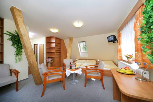 Imagen de la habitación del Hotel Stary Mlyn. Foto 10