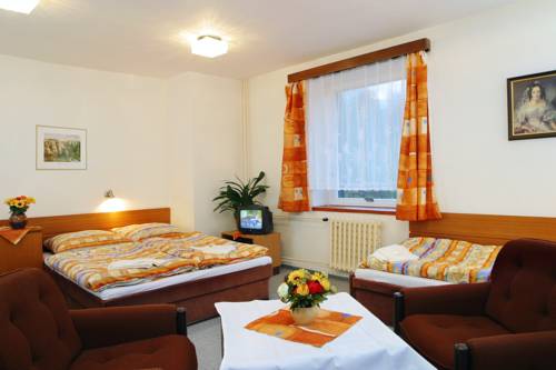 Imagen de la habitación del Hotel Stary Mlyn. Foto 13