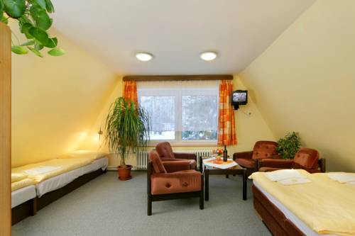 Imagen de la habitación del Hotel Stary Mlyn. Foto 14