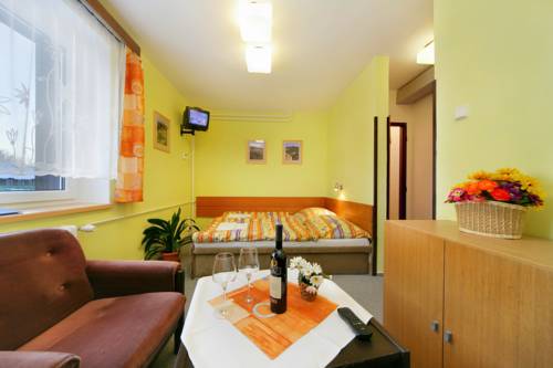 Imagen de la habitación del Hotel Stary Mlyn. Foto 16