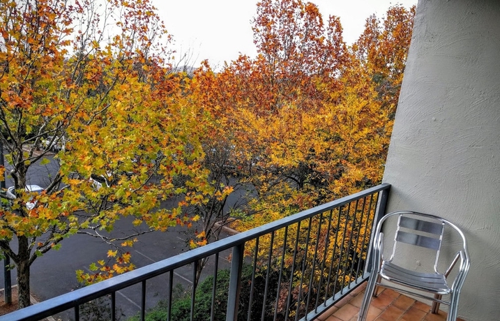 Imagen de la habitación del Hotel Statesman. Foto 10