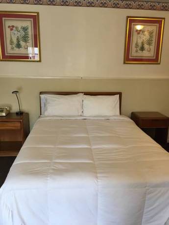 Imagen de la habitación del Hotel Stay Plus Inn. Foto 10