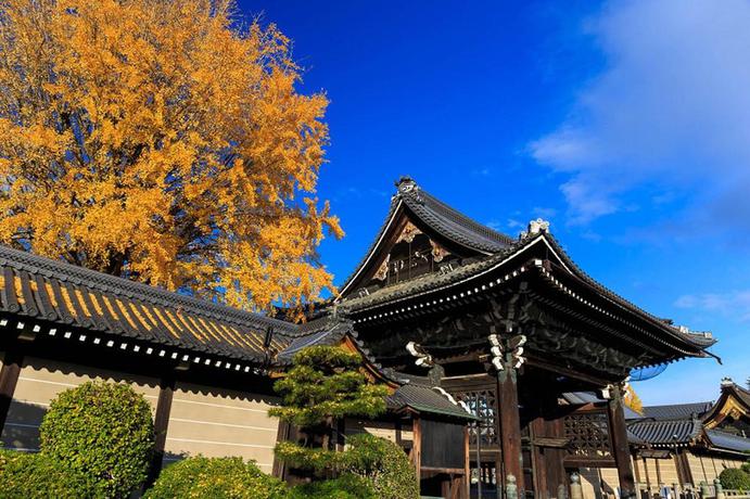 Imagen general del Hotel Stay SAKURA Kyoto Higashi Hongan-ji 1. Foto 9