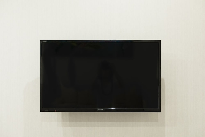 Imagen de la habitación del Hotel Stay SAKURA Tokyo Asakusa Edo no Mai. Foto 5