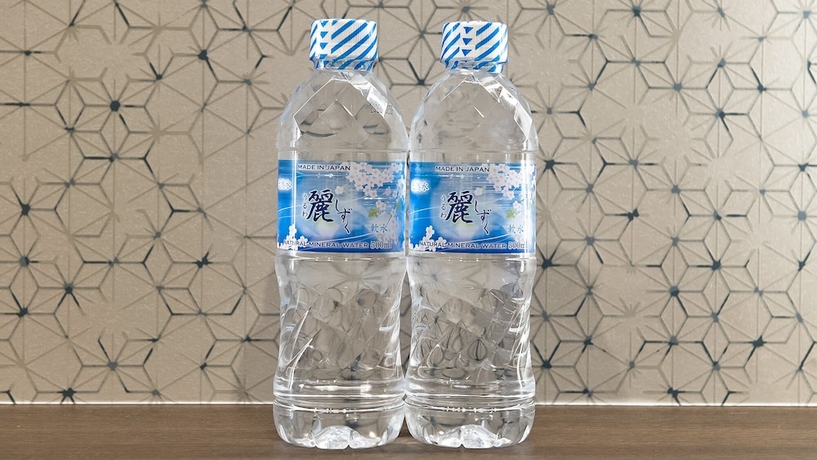 Imagen de la habitación del Hotel Stay SAKURA Tokyo Asakusa Edo no Mai. Foto 14