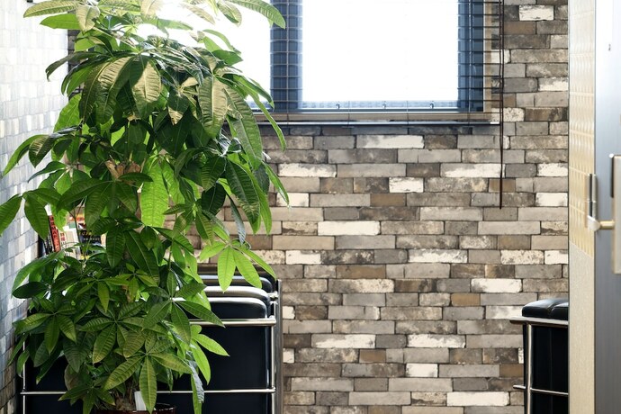 Imagen general del Hotel Stay Sakura Kyoto Tambaguchi. Foto 9