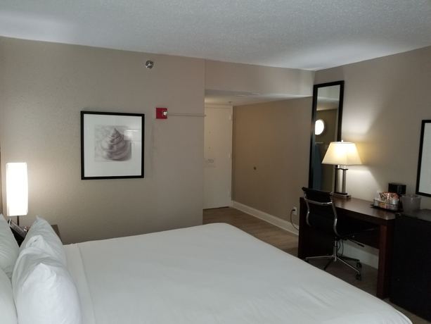 Imagen de la habitación del Hotel Stayable Select Gainesville. Foto 14