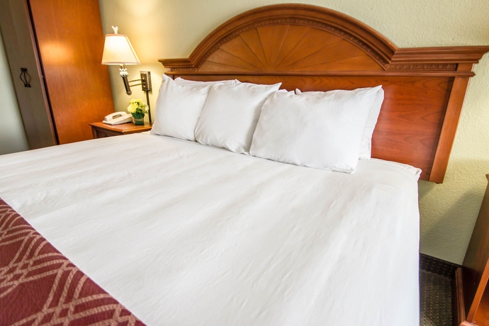 Imagen de la habitación del Hotel Stayable Suites Orlando. Foto 7