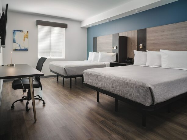 Imagen de la habitación del Hotel Stayapt Suites Jackson. Foto 17