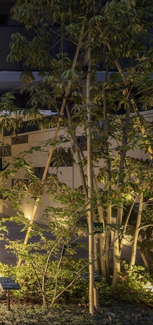 Imagen general del Hotel Stayat Osaka Shinsaibashi East. Foto 1